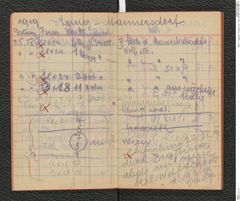 Seite 11, Tagebuch "Photogr. Aufn. 1919" (NHMW-PRAE-BBB-11)